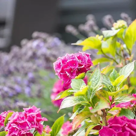 Ae314-marstal-bredgade-9 בית נופש Marstal