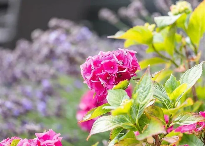 Ae314-marstal-bredgade-9 Сasa de vacaciones Marstal